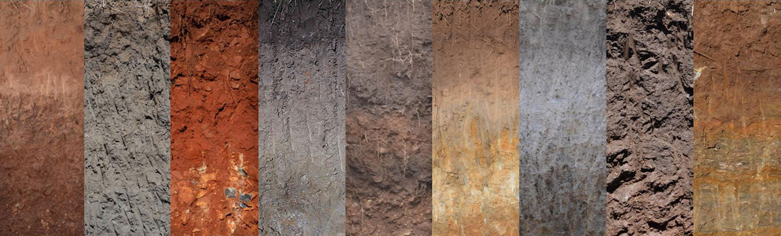 Soil profiles